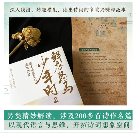 鲜衣怒马少年时2：唐宋诗章里的盛世残梦 商品图4