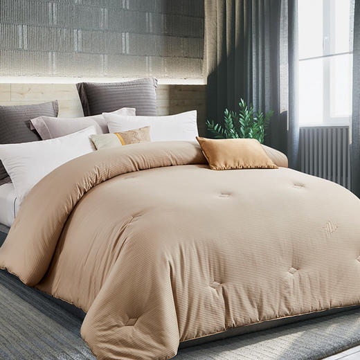 世茂希尔顿抗菌防螨被芯秋冬棉被春秋被加厚保暖被子冬被四季通用 商品图2