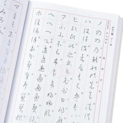 【中商原版】标准硬笔字典 修订新版 二玄社 日文原版 標準硬筆字典 改訂新版 商品图3