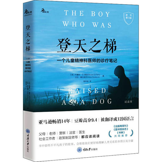 登天之梯 一个儿童精神科医师的诊疗笔记 原书第3版 商品图0
