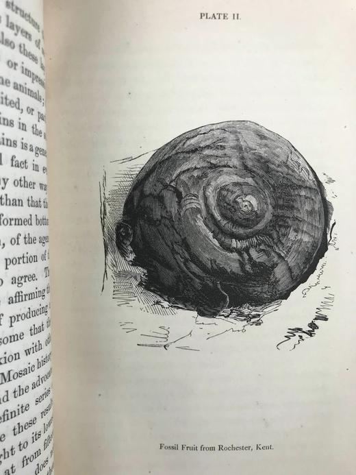 工坊特装本！1872年 休闲科学手册 7页版画插图 全真皮精装36开 商品图6