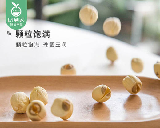 【到手2包】建宁白莲子-大果（干货）/1份（250g*2包）生产日期：26年3月 商品图3