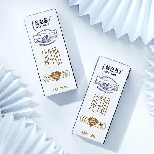 蒙牛 特仑苏纯牛奶 250ml*12盒/箱 商品图0
