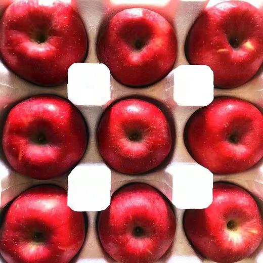 不急不躁的有机苹果 让阳光和雨露决定甜蜜的时刻 山西吉县乐之然有机苹果基地 商品图3