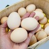 大别山土鸡蛋🥚（4斤左右） 商品缩略图1