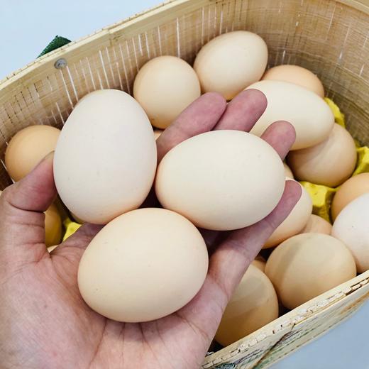 大别山土鸡蛋🥚（4斤左右） 商品图1
