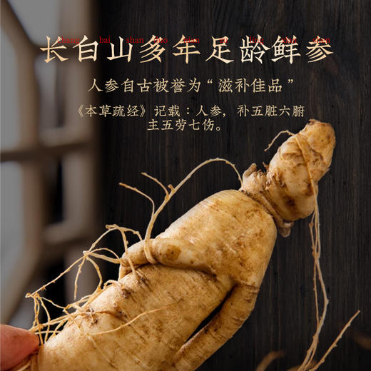 老滇凰鲜参王浆饮 商品图3