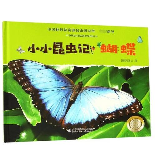 小小昆虫记(蝴蝶)(精)/昆虫记原创美绘图画书 商品图0