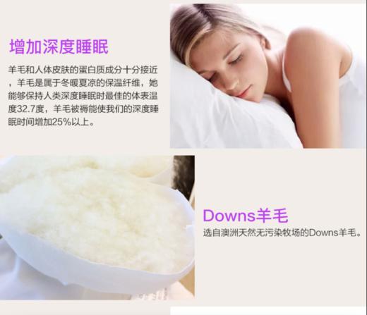 原装进口-澳洲EasyRest成人羊毛枕头健康卫士技术高密全棉面料羊毛枕芯保护颈椎深度睡眠 商品图3