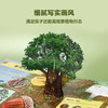 乐乐趣科普立体书-神奇植物立体书   适读年龄：3+ 商品缩略图4