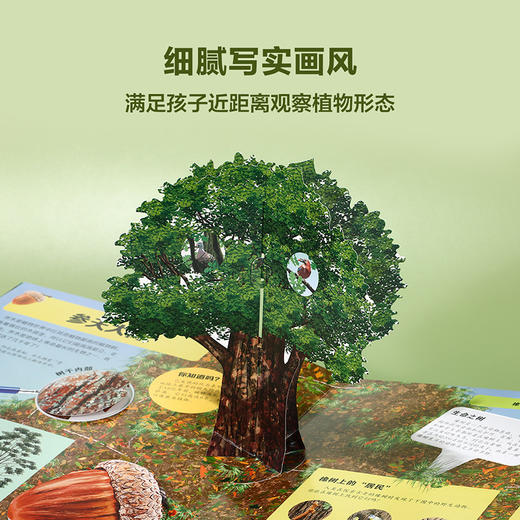 乐乐趣科普立体书-神奇植物立体书   适读年龄：3+ 商品图4