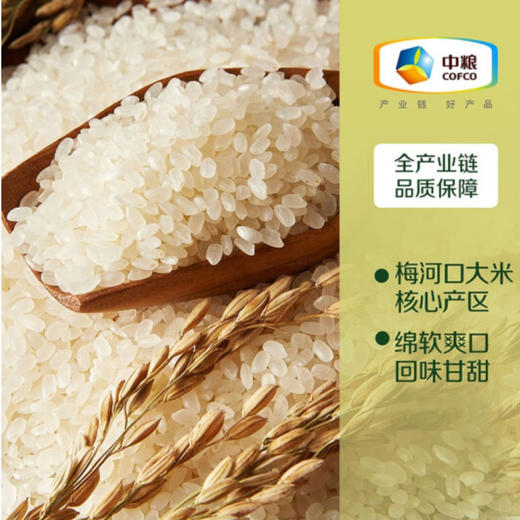 中粮初萃中粮1号东北大米5kg 商品图2
