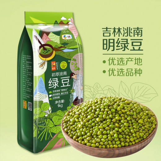 中粮初萃洮南绿豆1kg  粗粮五谷杂粮 商品图0