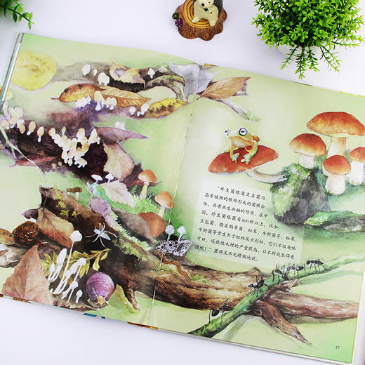 蘑菇的故事 商品图10