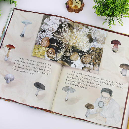 蘑菇的故事 商品图9