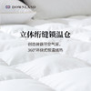 预售| Downland Classical环球客复合鹅毛软垫[福利品] 商品缩略图4
