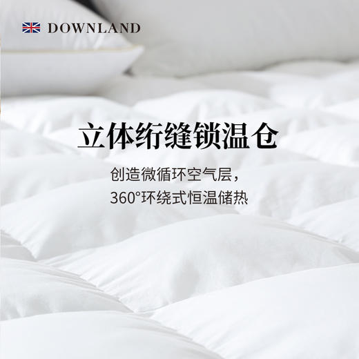 预售| Downland Classical环球客复合鹅毛软垫[福利品] 商品图4