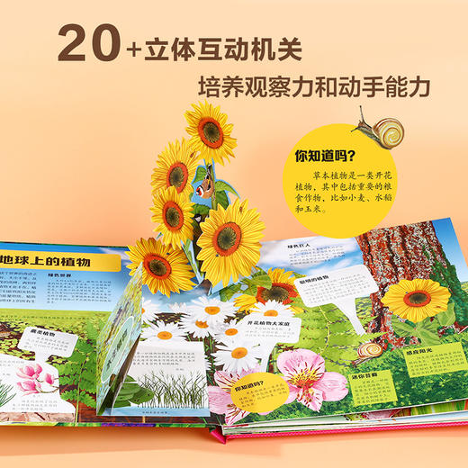 乐乐趣科普立体书-神奇植物立体书   适读年龄：3+ 商品图2