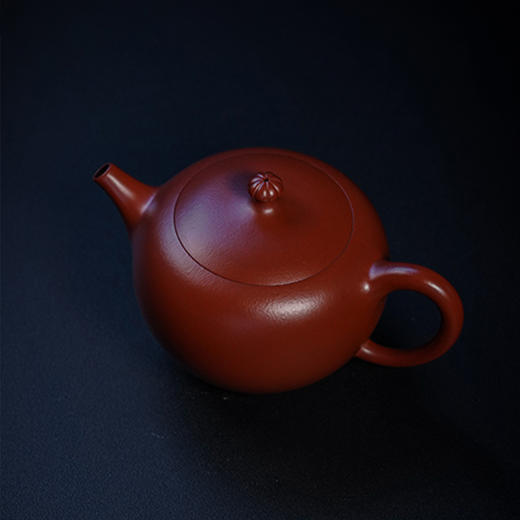 宜兴龙德堂陶艺 汤宣武《半亩花田》原矿大红袍 270 cc 商品图1