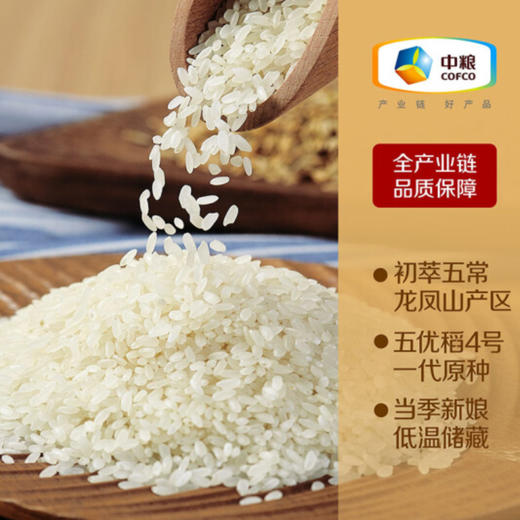 中粮初萃 五常龙凤山稻花香大米5kg 东北大米 五常大米 商品图3