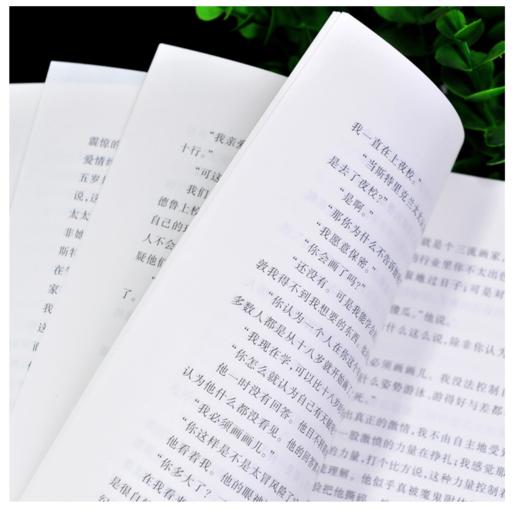 月亮与六便士 商品图2