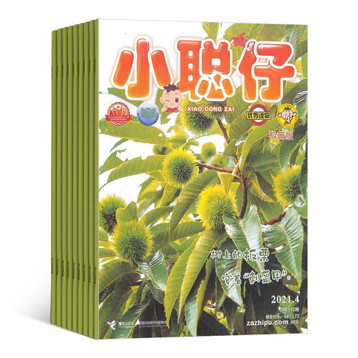 【订阅有礼】小聪仔自然科普版  1年共12期 自然动物儿童科学期刊杂志 杂志订阅 商品图3