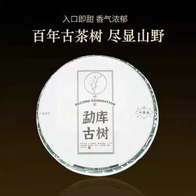 生普 | 叶舞地 2023年 勐库古树 357g
