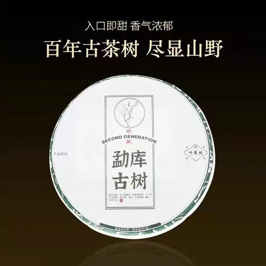 生普 | 叶舞地 2023年 勐库古树 357g 商品图0