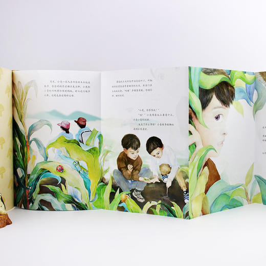 蘑菇的故事 商品图12