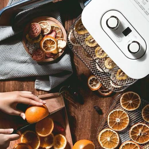 【100代金券】Morphy Richards/摩飞 家用零食蔬果干果机MR6255 [福利品] 商品图3