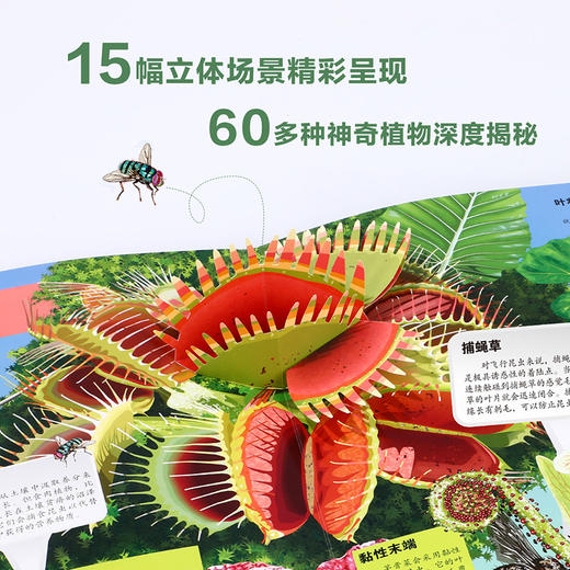乐乐趣科普立体书-神奇植物立体书   适读年龄：3+ 商品图1