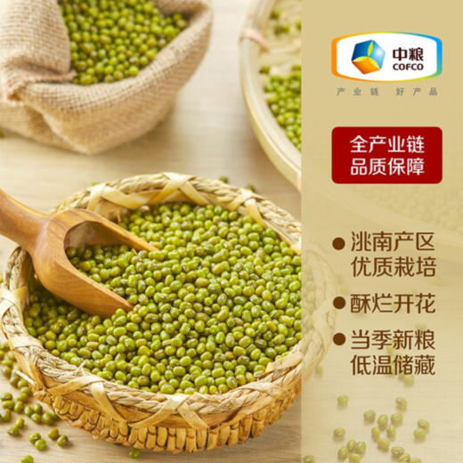中粮初萃洮南绿豆1kg  粗粮五谷杂粮 商品图3
