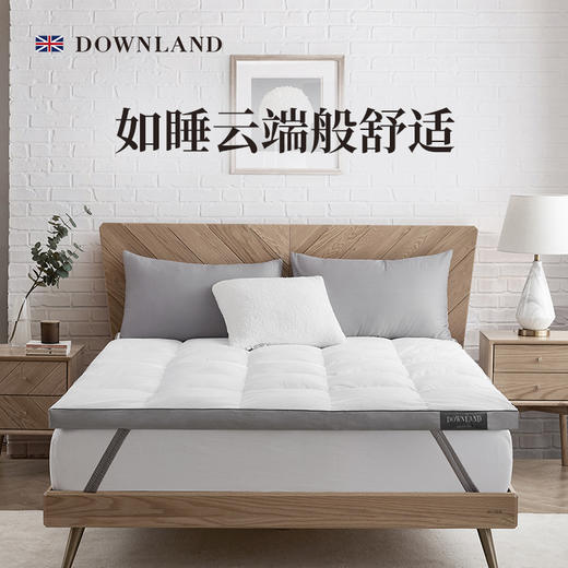 预售| Downland Classical环球客复合鹅毛软垫[福利品] 商品图2