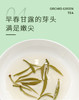 兰花甘露50克 全兰草花窨制 拒绝香精 商品缩略图8