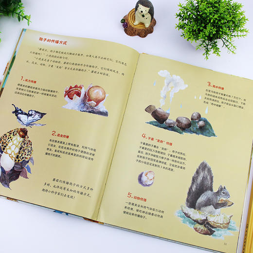 蘑菇的故事 商品图7