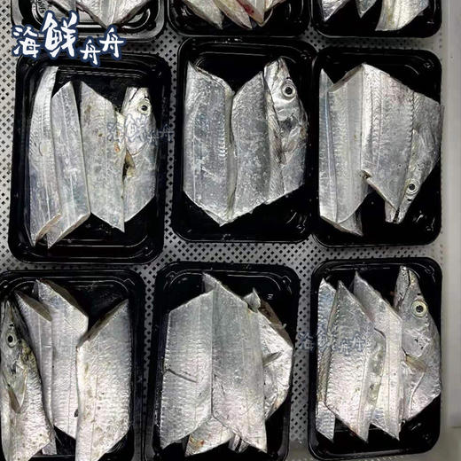 【野生】超低温 油带鱼带鱼段 商品图2