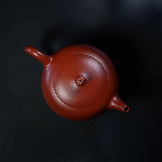 宜兴龙德堂陶艺 汤宣武《半亩花田》原矿大红袍 270 cc 商品图2