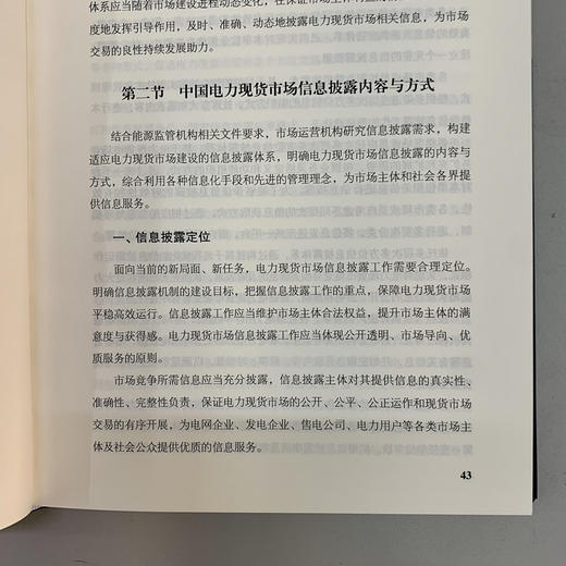 电力现货市场导论：信息驱动增长的交易策略与盈利模式 商品图3