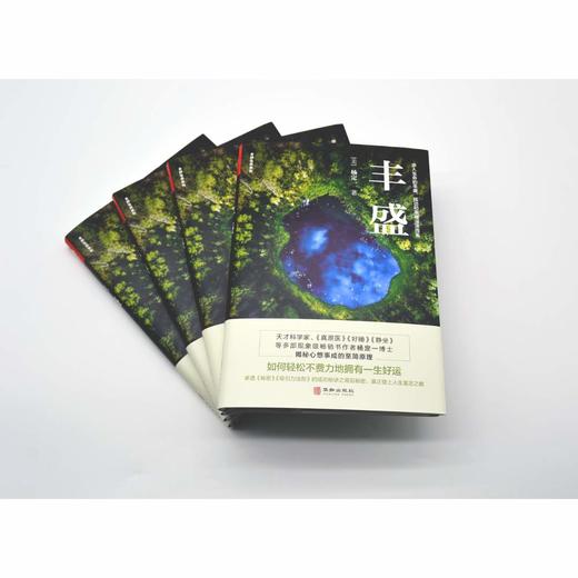 丰盛 | 杨定一博士著【官方正版】华龄出版社 商品图2