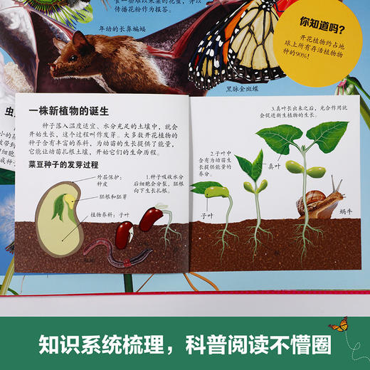 乐乐趣科普立体书-神奇植物立体书   适读年龄：3+ 商品图3