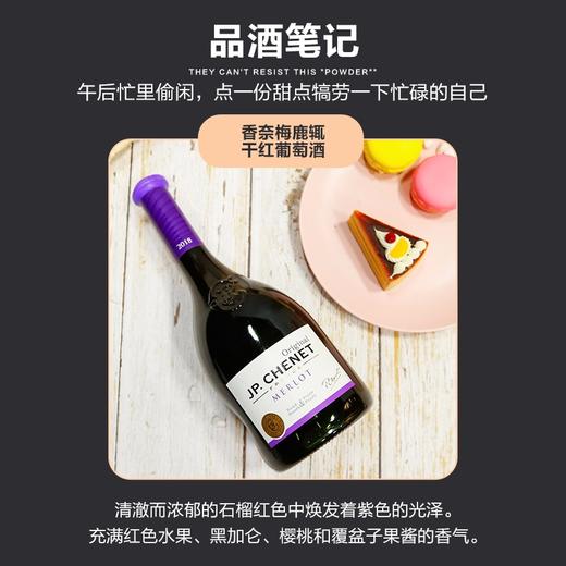  JP.CHENET香奈美乐葡萄酒 梅鹿辄干红 法国原瓶进口 750ml 72小时发货  商品图0
