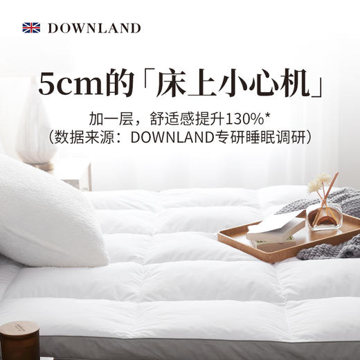 预售| Downland Classical环球客复合鹅毛软垫[福利品] 商品图0