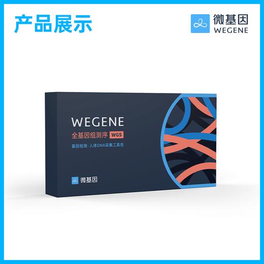 微基因WeGene 全基因组测序 30亿碱基全检测 商品图3