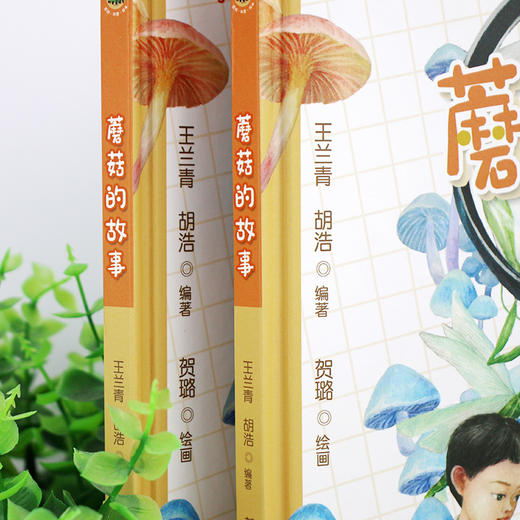 蘑菇的故事 商品图4