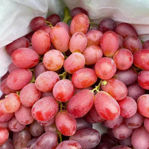 【新疆克伦生无籽红提】4斤/框，脆甜无籽 商品图2