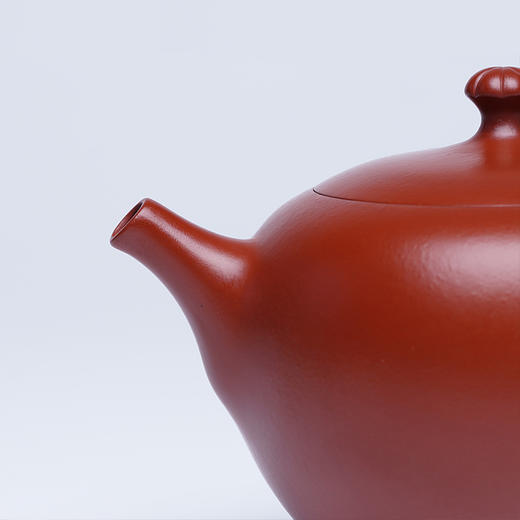 宜兴龙德堂陶艺 汤宣武《半亩花田》原矿大红袍 270 cc 商品图3