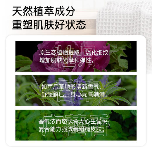 德国进口薇妮芮香水全身沐浴乳清爽补水保湿清去油滋养洁温和静肤清透质地香氛学生男女大容量250ml 山野烂漫 沐浴乳 商品图3