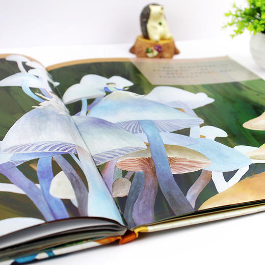 蘑菇的故事 商品图11