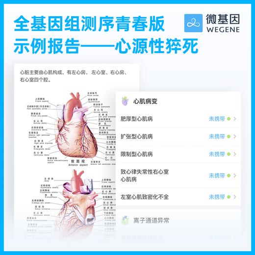 微基因WeGene 全基因组测序青春版 30亿碱基全测序 单件 商品图5