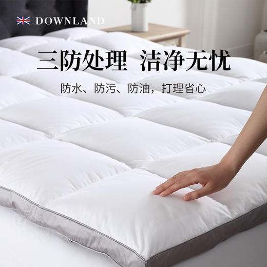 预售| Downland Classical环球客复合鹅毛软垫[福利品] 商品图3
